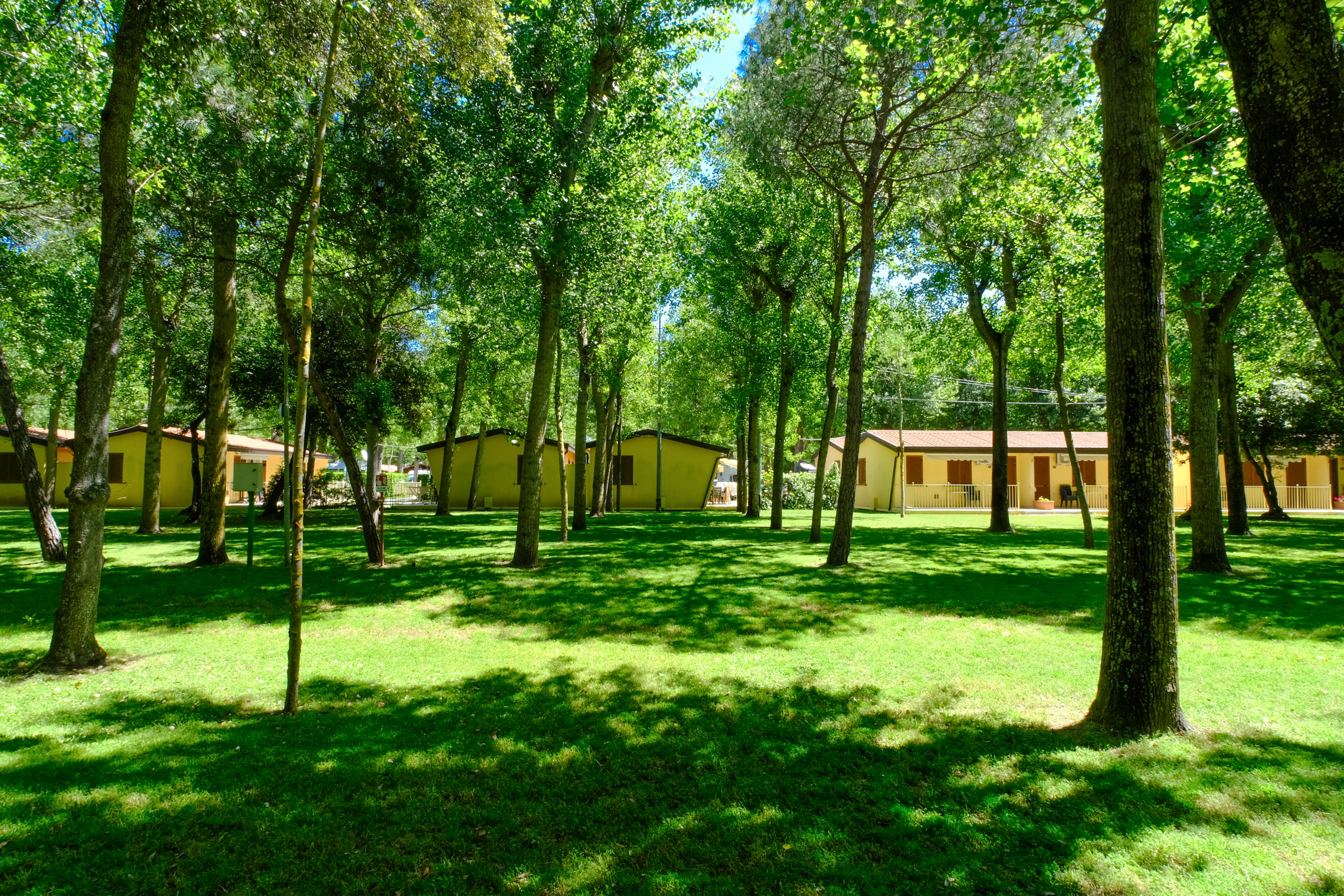 Appartamenti - Foto 12